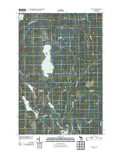 Ned Lake 2011 topographic map thumbnail