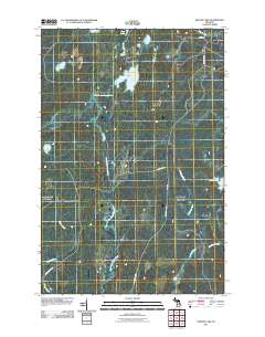 Nelson Lake 2011 topographic map thumbnail