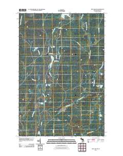 Ned Lake SE 2011 topographic map thumbnail