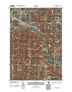 Ogemaw Springs 2011 topographic map thumbnail