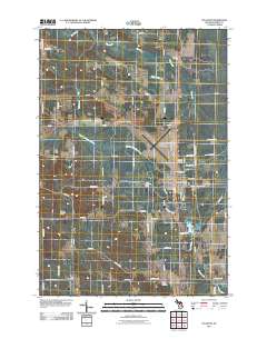 Pellston 2011 topographic map thumbnail