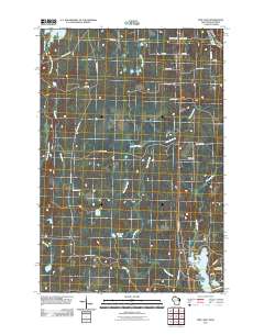 Pine Lake 2011 topographic map thumbnail