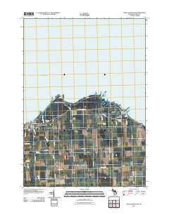 Port Austin East 2011 topographic map thumbnail