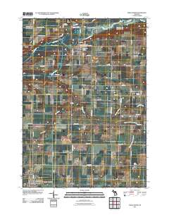 Maple Rapids 2011 topographic map thumbnail