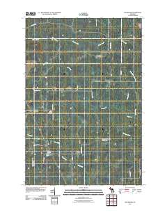McFarland 2011 topographic map thumbnail