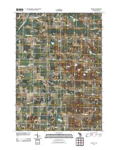Mecosta 2011 topographic map thumbnail