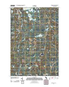 Republic SW 2011 topographic map thumbnail