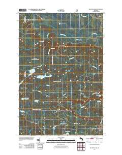 Bulldog Lake 2011 topographic map thumbnail