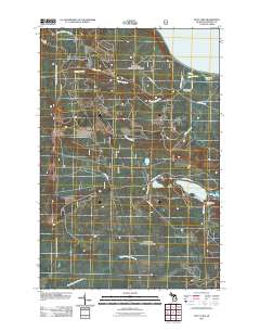 Piatt Lake 2011 topographic map thumbnail