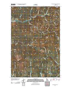 McGary Butte 2011 topographic map thumbnail