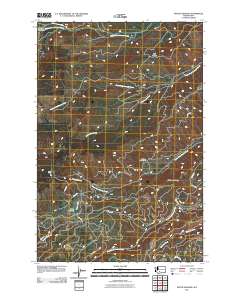 Piscoe Meadow 2011 topographic map thumbnail