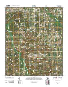 Snelling 2011 topographic map thumbnail
