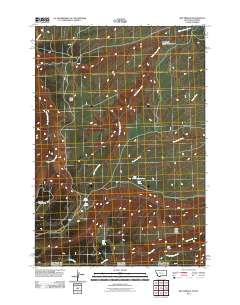 Red Springs 2011 topographic map thumbnail