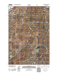 Petersburg 2011 topographic map thumbnail