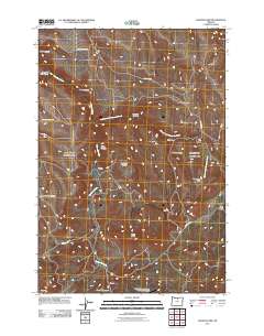 Salmon Fork 2011 topographic map preview
