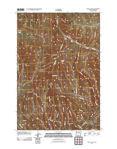 Balm Canyon 2011 topographic map thumbnail