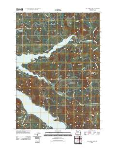 Fall Creek Lake 2011 topographic map thumbnail