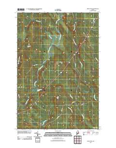 Reed Pond 2011 topographic map thumbnail