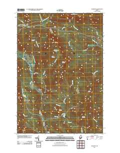 Roxbury 2011 topographic map thumbnail