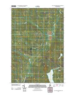 Saint John Pond Depot 2011 topographic map thumbnail