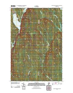 Salmon Stream Lake 2011 topographic map thumbnail