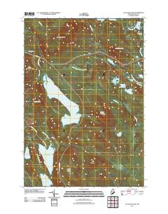 Alligator Lake 2011 topographic map thumbnail