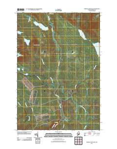 Dimmick Mountain 2011 topographic map thumbnail