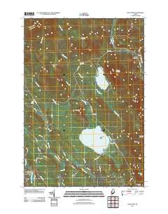 Ellis Pond 2011 topographic map thumbnail