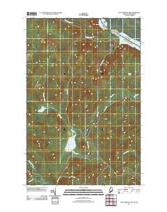 Falls Brook Lake 2011 topographic map thumbnail