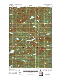 Beetle Mountain 2011 topographic map thumbnail