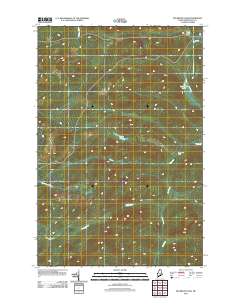 Big Brook Lake 2011 topographic map thumbnail