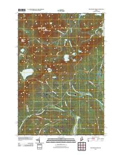 Big Moose Pond 2011 topographic map thumbnail