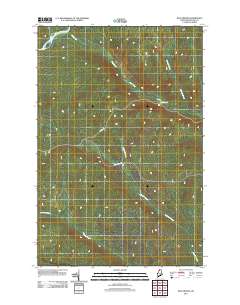 Blue Brook 2011 topographic map thumbnail