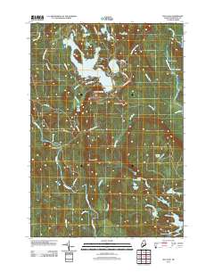 Bog Lake 2011 topographic map thumbnail