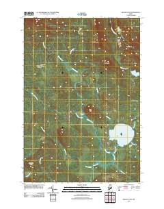 Brandy Pond 2011 topographic map thumbnail