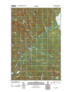 Island Pond 2011 topographic map thumbnail