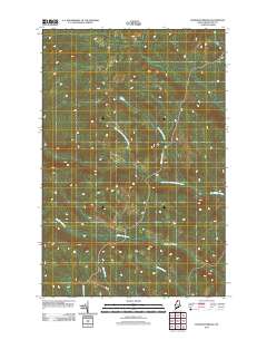 McKinnon Brook 2011 topographic map thumbnail