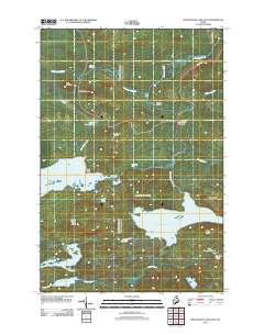 Millinocket Lake East 2011 topographic map thumbnail