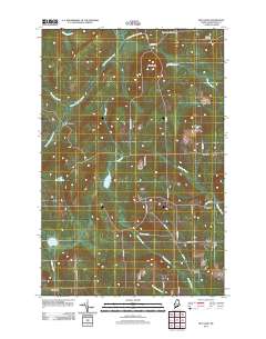 Mud Lake 2011 topographic map thumbnail