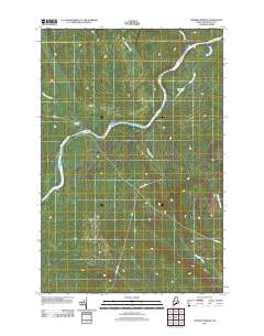 Ninemile Bridge 2011 topographic map thumbnail