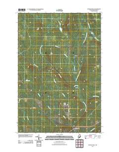 Smyrna Mills 2011 topographic map thumbnail
