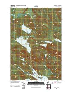 Spring Lake 2011 topographic map thumbnail
