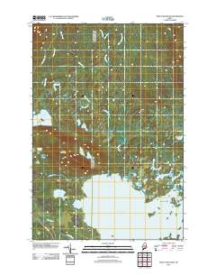Trout Mountain 2011 topographic map thumbnail