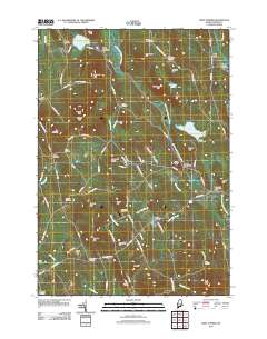 West Sumner 2011 topographic map thumbnail