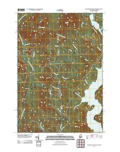 Bosebuck Mountain 2011 topographic map thumbnail