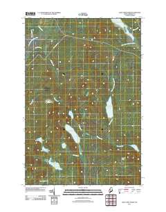 Saint John Ponds 2011 topographic map thumbnail