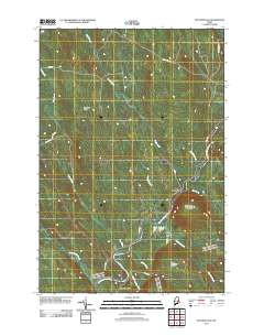 Wytopitlock 2011 topographic map thumbnail