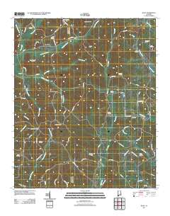 Bluff 2011 topographic map thumbnail