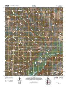 Bellwood 2011 topographic map thumbnail