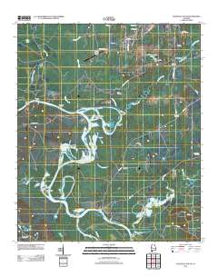 Aliceville South 2011 topographic map thumbnail